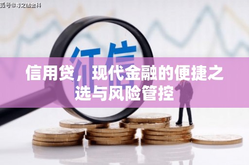 利州信用贷，现代金融的便捷之选与风险管控