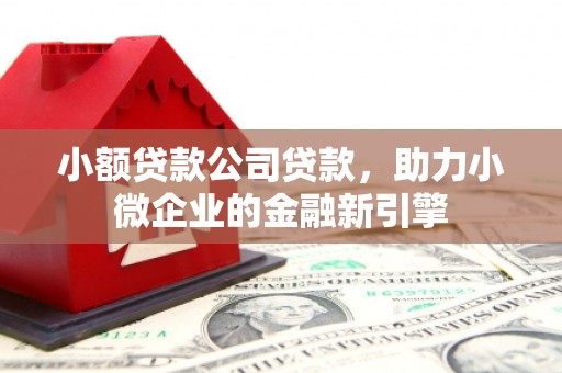 大化小额贷款公司贷款，助力小微企业的金融新引擎
