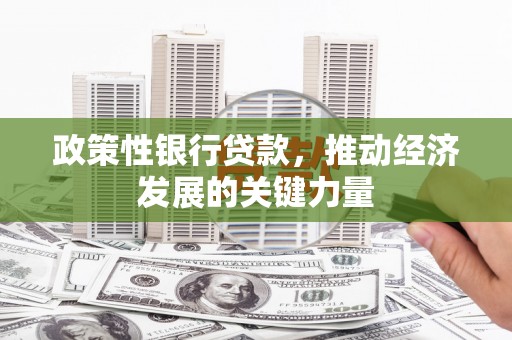 狮子政策性银行贷款，推动经济发展的关键力量
