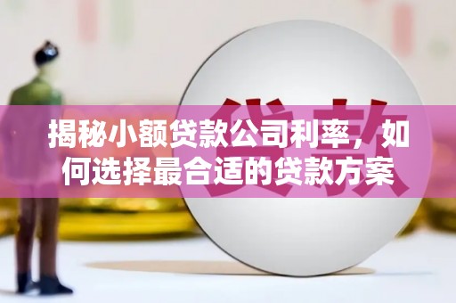 洋县揭秘小额贷款公司利率，如何选择最合适的贷款方案