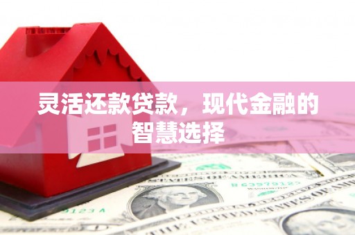 宁洱灵活还款贷款，现代金融的智慧选择