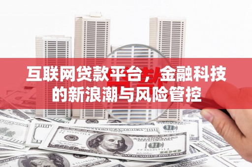 东山互联网贷款平台，金融科技的新浪潮与风险管控