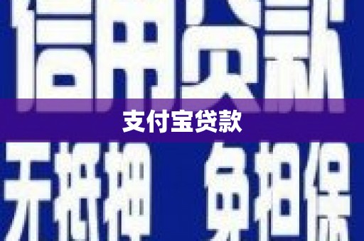 金湖支付宝贷款