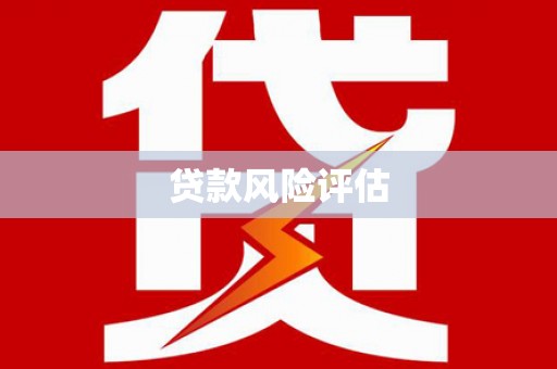 宛城贷款风险评估