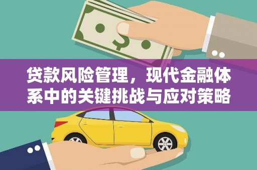 明山贷款风险管理，现代金融体系中的关键挑战与应对策略