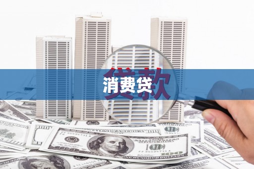 安国消费贷