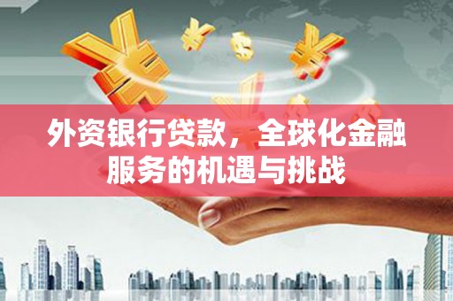 海拉尔外资银行贷款，全球化金融服务的机遇与挑战