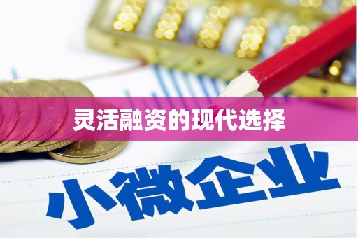 无为灵活融资的现代选择