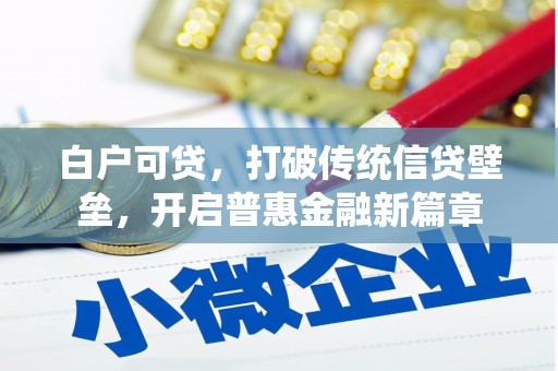 当阳白户可贷，打破传统信贷壁垒，开启普惠金融新篇章