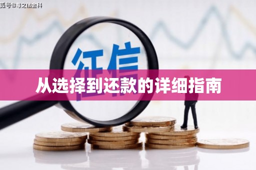 宁乡从选择到还款的详细指南
