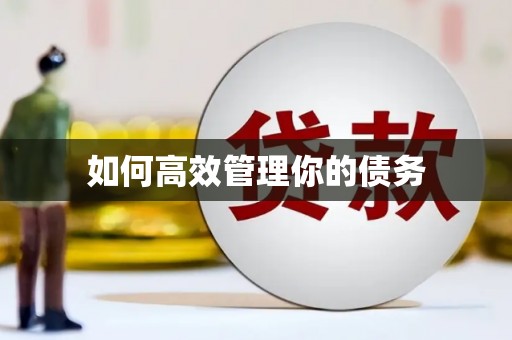 聂荣如何高效管理你的债务