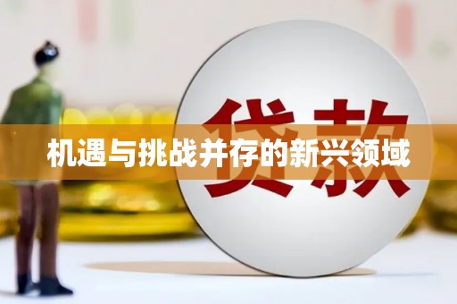 山南机遇与挑战并存的新兴领域
