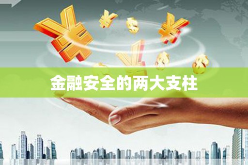 瑞昌金融安全的两大支柱