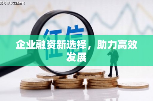 芎林企业融资新选择，助力高效发展