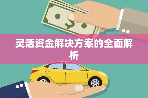 吴起灵活资金解决方案的全面解析