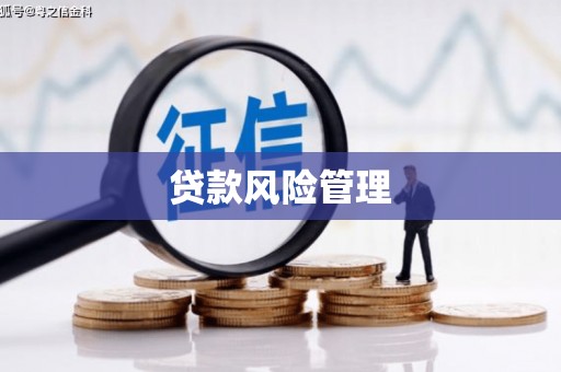 内湖贷款风险管理