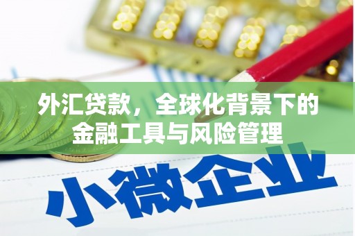 泗阳外汇贷款，全球化背景下的金融工具与风险管理