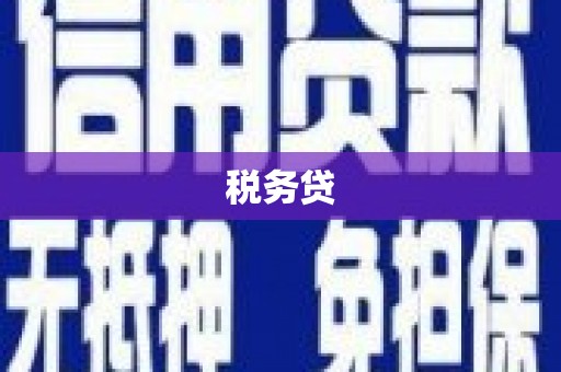 宝山税务贷
